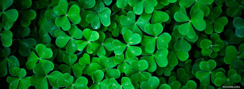 Photo abstract clovers Facebook Cover for Free