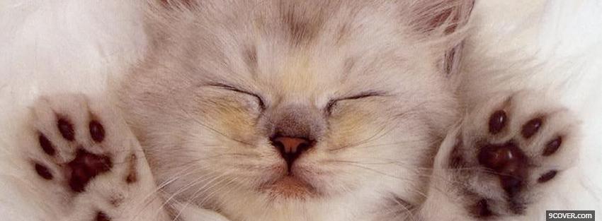 Photo adorable sleeping cat Facebook Cover for Free