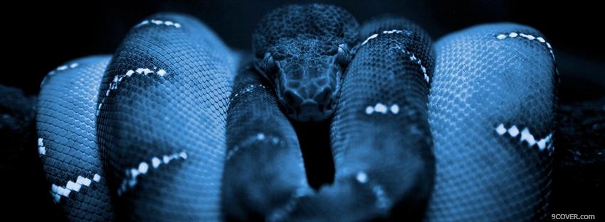 Photo scary animals snake Facebook Cover for Free