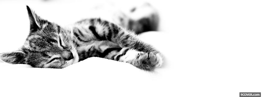 Photo sleeping kitten animals Facebook Cover for Free