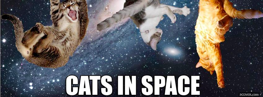 Photo cats in space animals Facebook Cover for Free