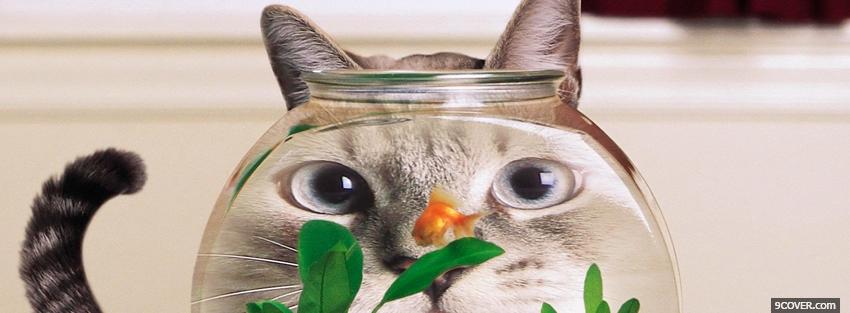Photo funny cat fishing Facebook Cover for Free