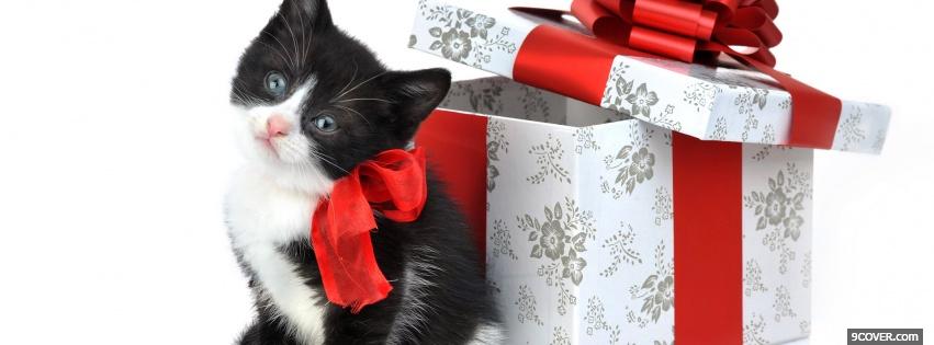 Photo black kitty next to gift Facebook Cover for Free