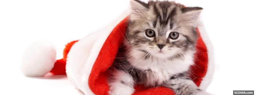 Photo grey kitten in christmas hat Facebook Cover for Free