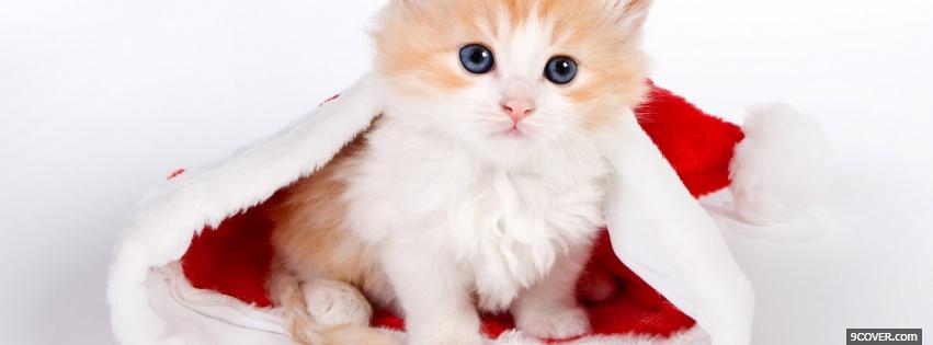 Photo baby cat in christmas hat Facebook Cover for Free