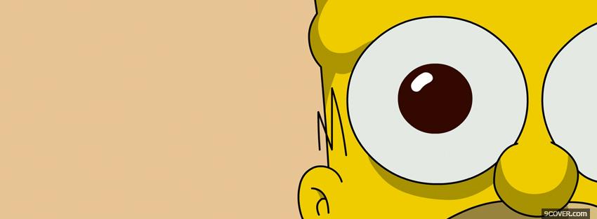 Photo tv shows homers eyes Facebook Cover for Free