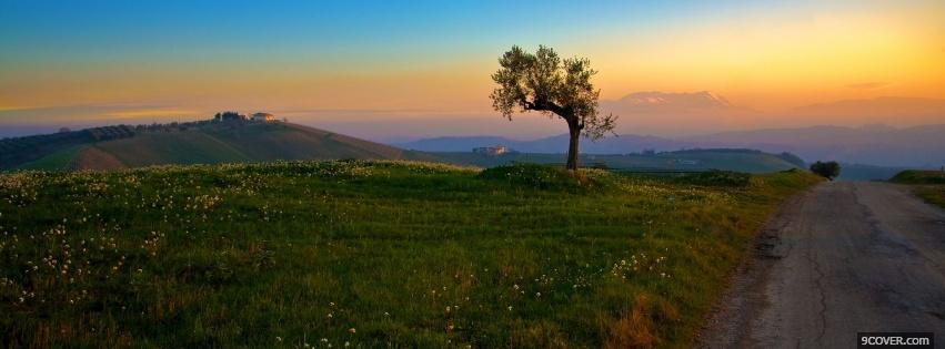 Photo grass and tree nature Facebook Cover for Free