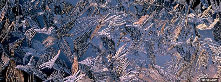 Photo morning frost nature Facebook Cover for Free