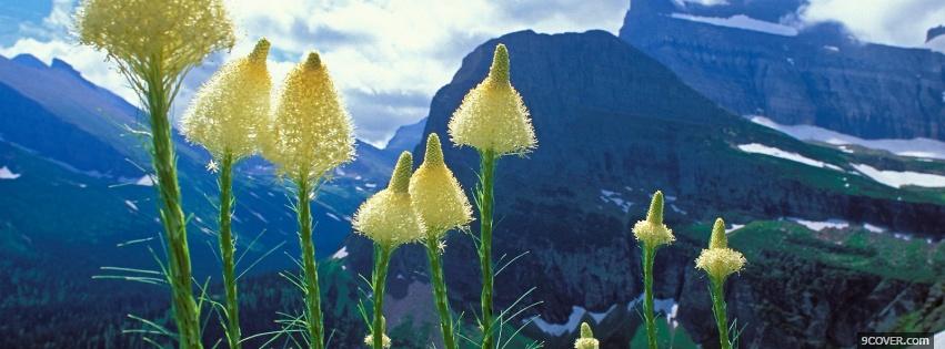 Photo glacier national park nature Facebook Cover for Free