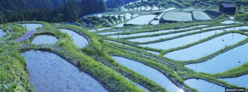 Photo japan rural nature Facebook Cover for Free