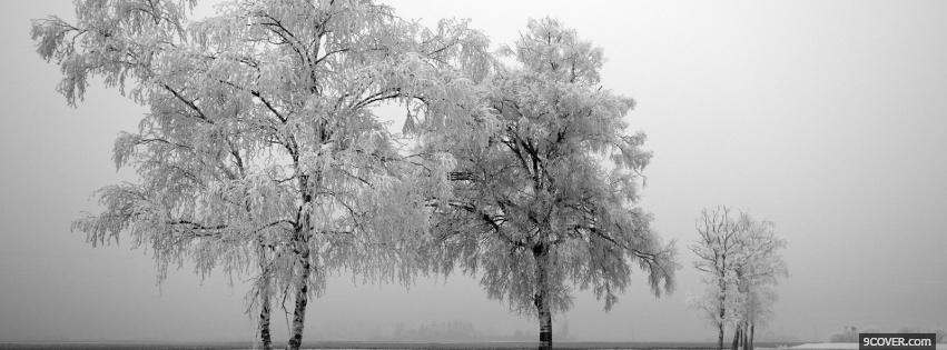 Photo iced trees nature Facebook Cover for Free