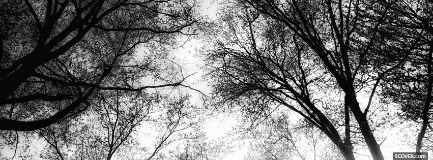 Photo black and white woods Facebook Cover for Free