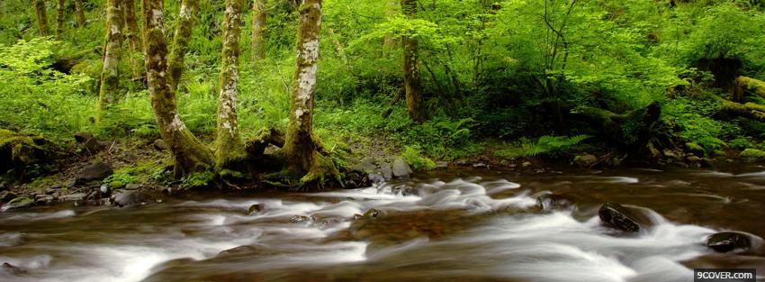Photo gales creek nature Facebook Cover for Free