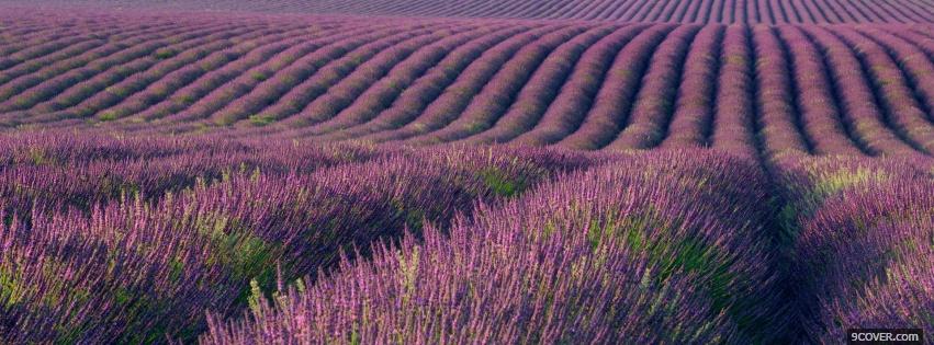 Photo landscape of flowers nature Facebook Cover for Free