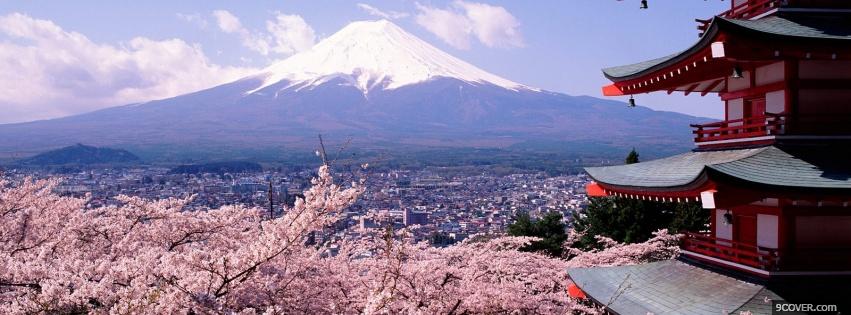 Photo cherry blossom nature Facebook Cover for Free