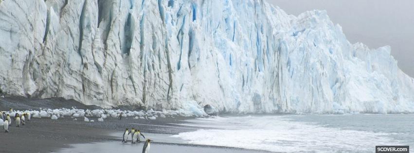 Photo glacier and penguins nature Facebook Cover for Free