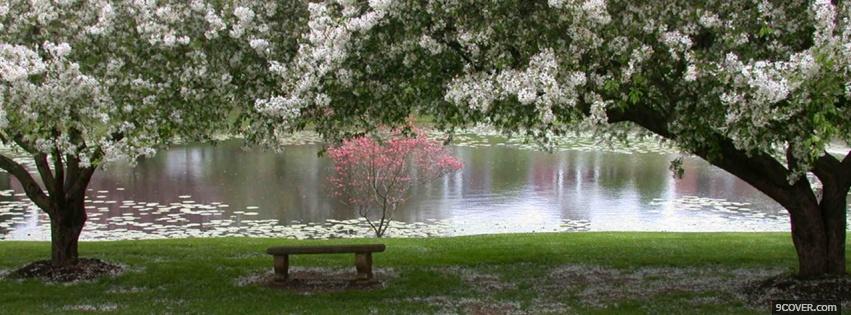 Photo bench in nature Facebook Cover for Free