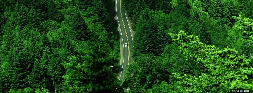 Photo huge forest and road Facebook Cover for Free