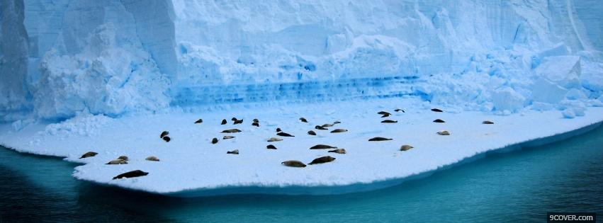 Photo living on ice nature Facebook Cover for Free