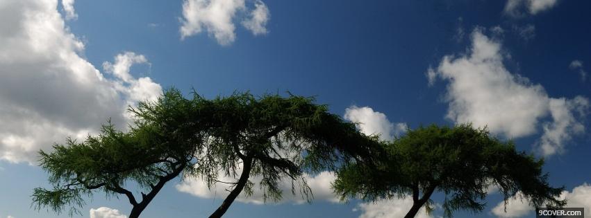 Photo flat trees nature Facebook Cover for Free