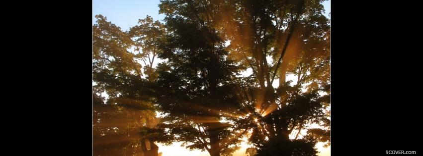 Photo glimpse of sun nature Facebook Cover for Free
