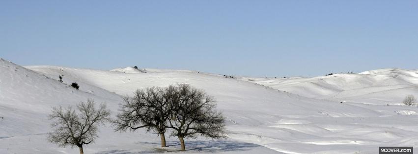 Photo white snow and tree Facebook Cover for Free