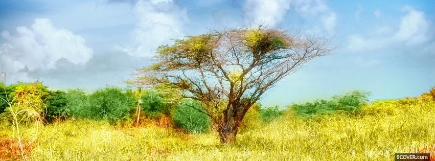 Photo solitary tree nature Facebook Cover for Free