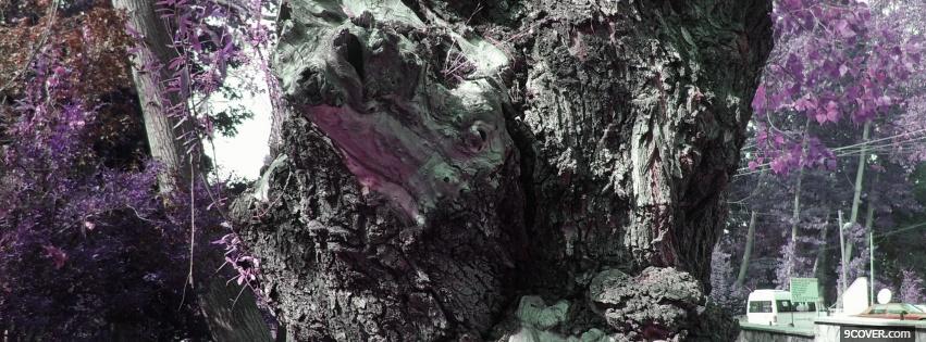 Photo black and purple nature Facebook Cover for Free