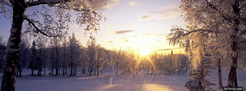 Photo sun beams nature Facebook Cover for Free