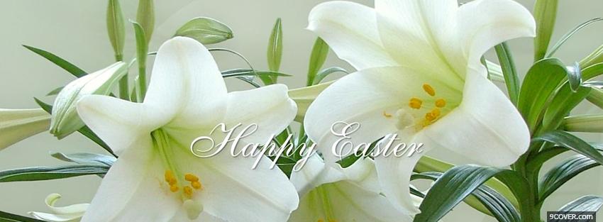 Photo white simple flowers nature Facebook Cover for Free
