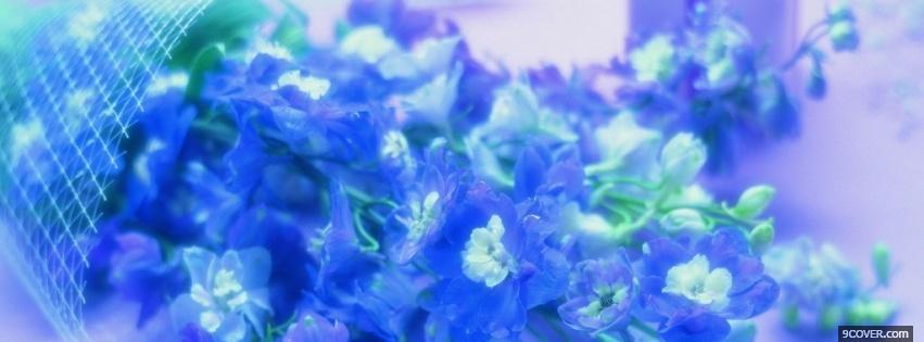 Photo blue flowers nature Facebook Cover for Free