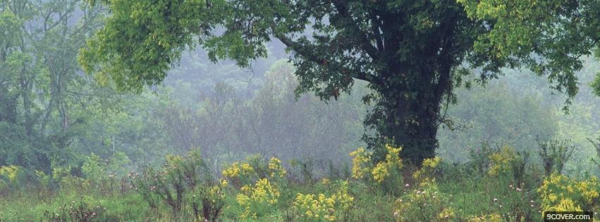Photo tennessee summer nature Facebook Cover for Free
