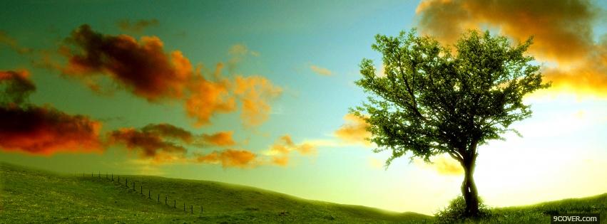 Photo nature tree and clouds Facebook Cover for Free