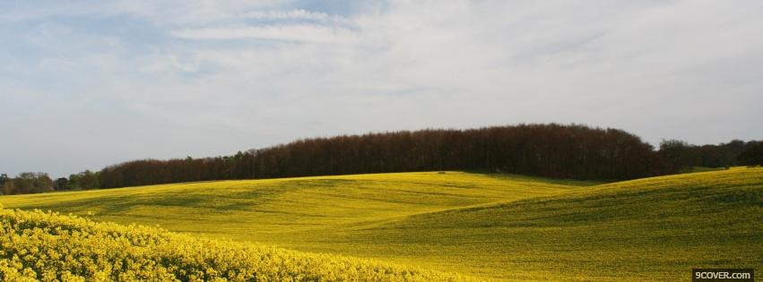 Photo green landscape nature Facebook Cover for Free