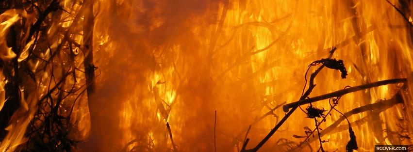 Photo forest on fire nature Facebook Cover for Free