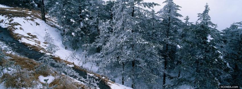 Photo hill of winter trees Facebook Cover for Free