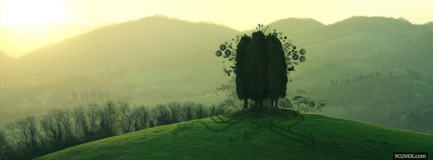 Photo nature green trees Facebook Cover for Free