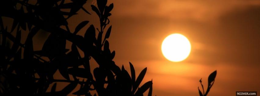 Photo sun nature Facebook Cover for Free
