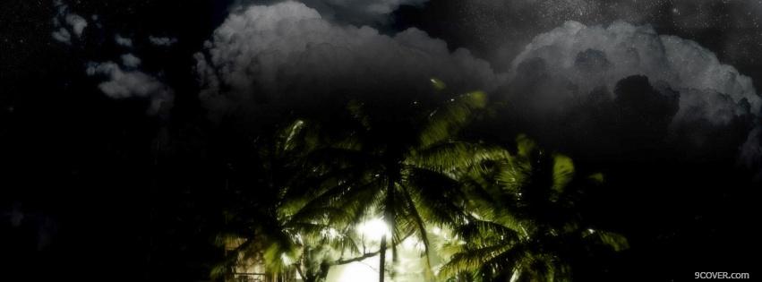 Photo palm trees nature Facebook Cover for Free
