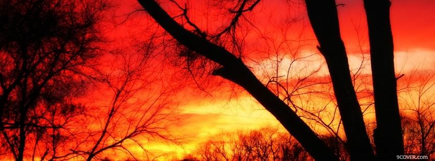 Photo fiery forest nature Facebook Cover for Free