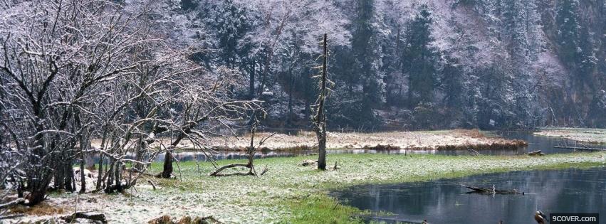 Photo the woods nature Facebook Cover for Free