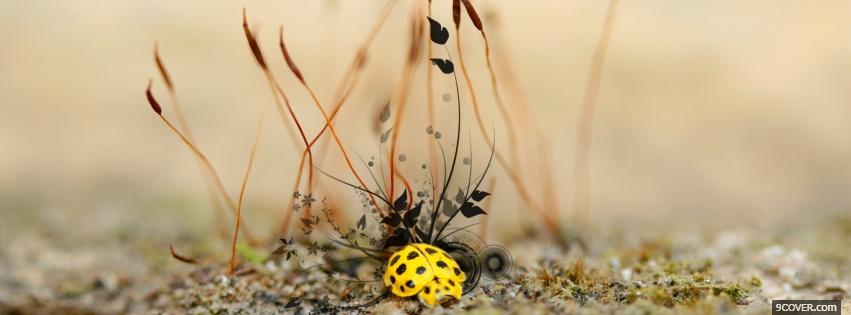 Photo yellow lady bug nature Facebook Cover for Free