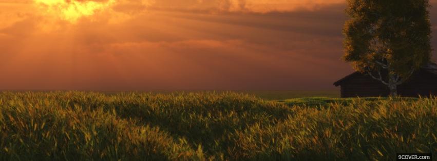 Photo sunset light grass nature Facebook Cover for Free