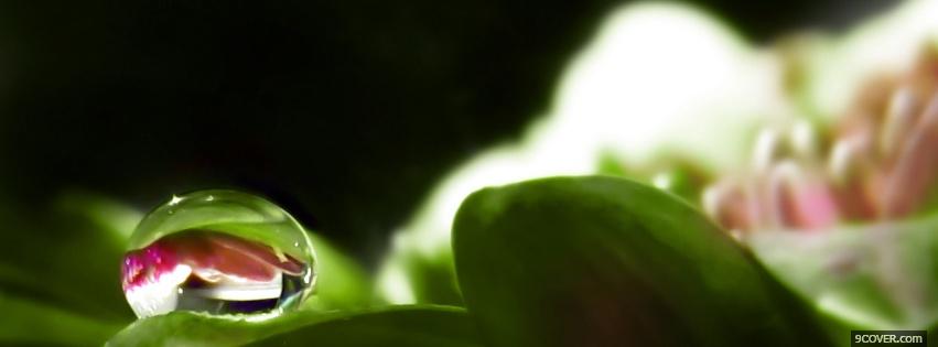 Photo water drop nature Facebook Cover for Free