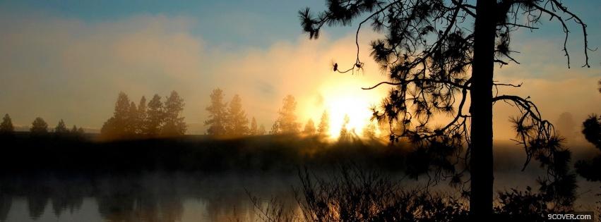 Photo sunlight tree nature Facebook Cover for Free