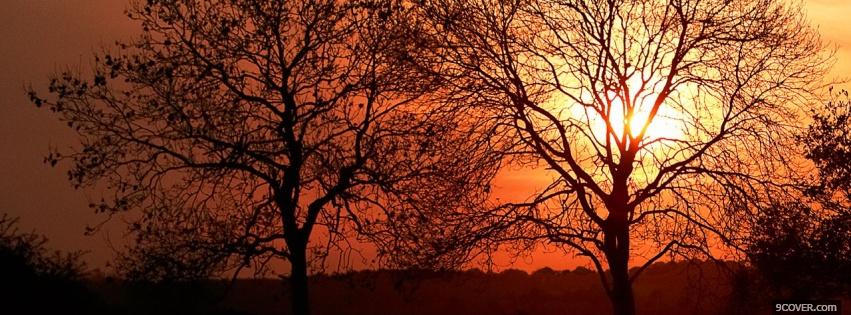 Photo trees sunset nature Facebook Cover for Free