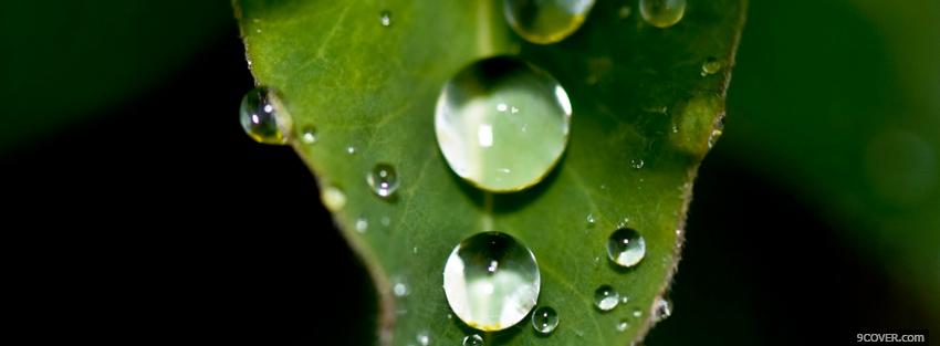 Photo rain leaf nature Facebook Cover for Free