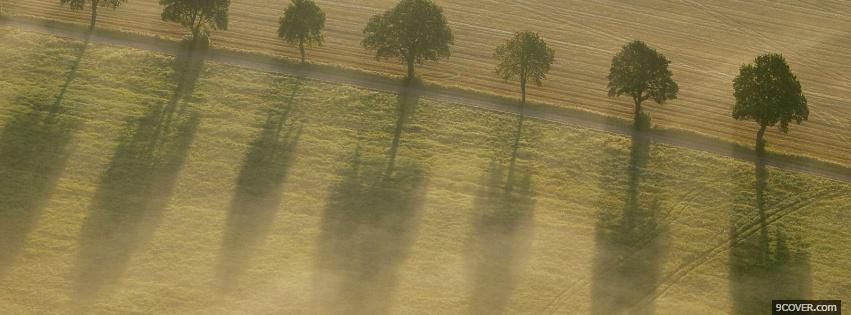 Photo trees and shadows nature Facebook Cover for Free