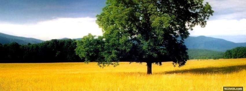 Photo tree scenery nature Facebook Cover for Free