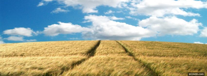 Photo wheat and sky nature Facebook Cover for Free